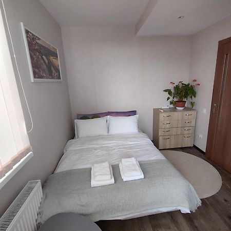 Apartament Confortabil 基希讷乌 外观 照片