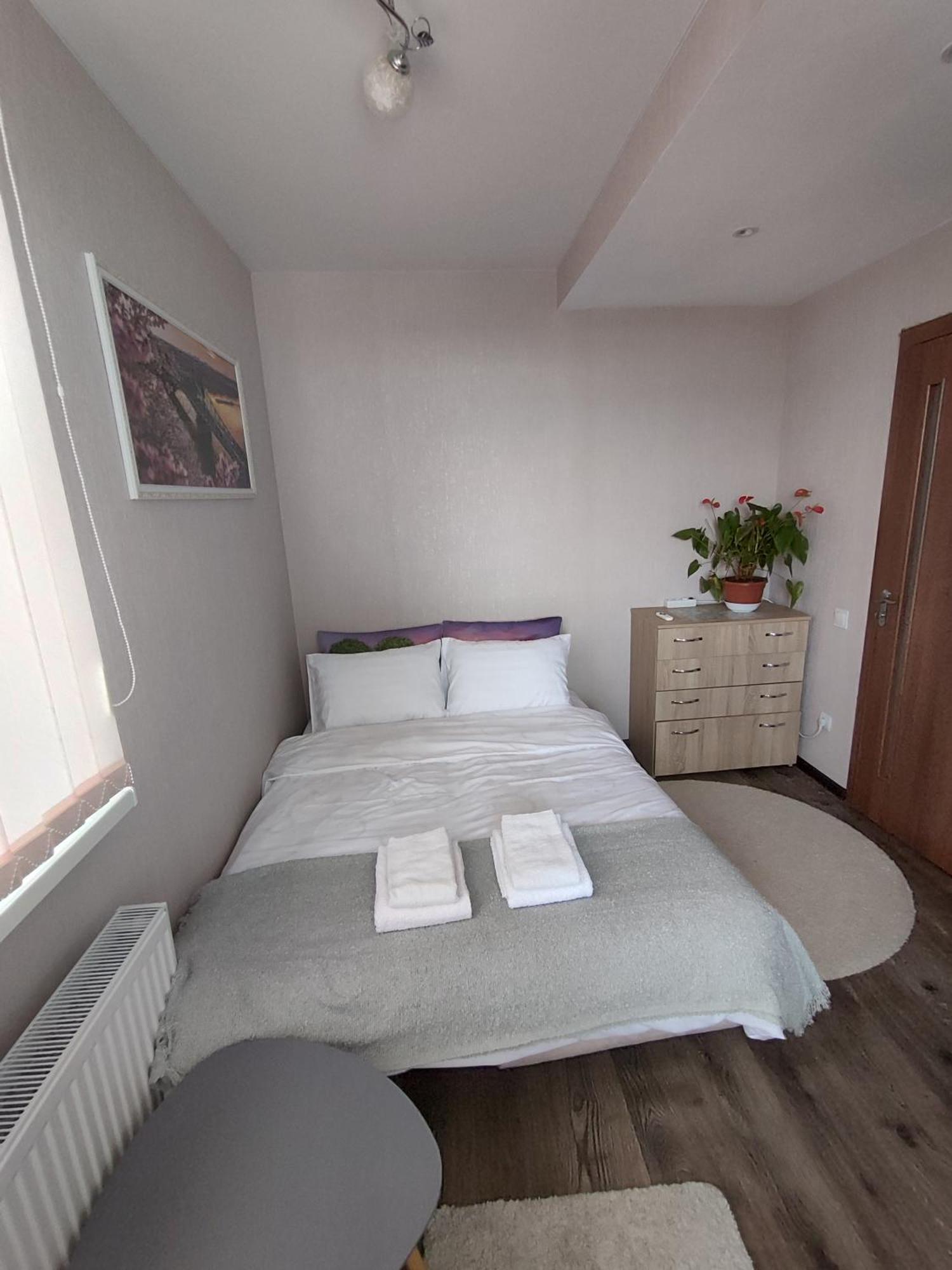 Apartament Confortabil 基希讷乌 外观 照片